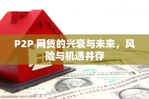 永修P2P 网贷的兴衰与未来，风险与机遇并存