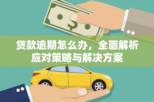 永修贷款逾期怎么办，全面解析应对策略与解决方案