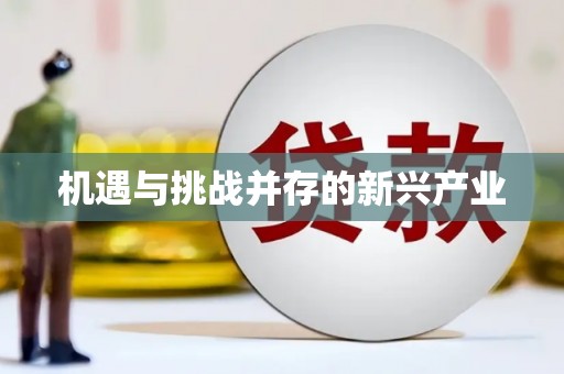 永修机遇与挑战并存的新兴产业