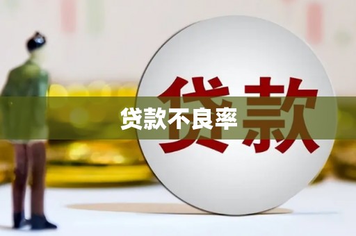 永修贷款不良率