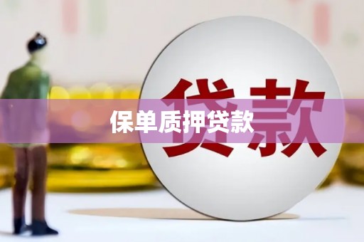 永修保单质押贷款