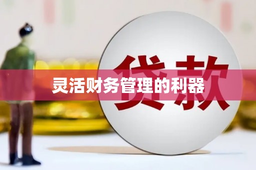 永修灵活财务管理的利器