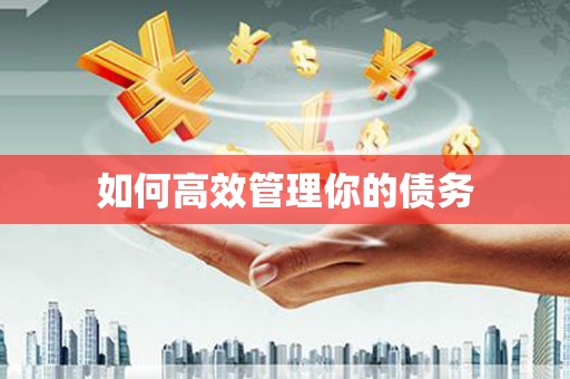 永修如何高效管理你的债务