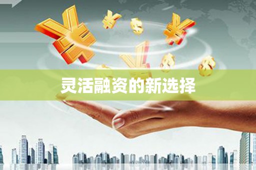 永修灵活融资的新选择