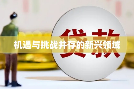 永修机遇与挑战并存的新兴领域