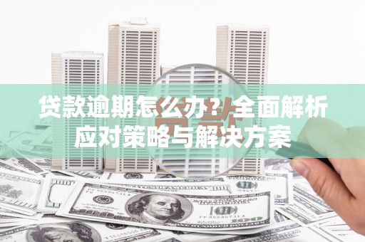 永修贷款逾期怎么办？全面解析应对策略与解决方案