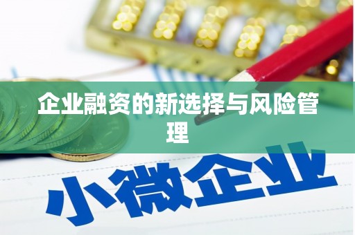 永修企业融资的新选择与风险管理
