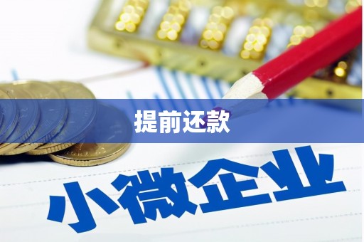 永修提前还款