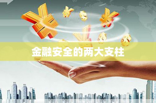 永修金融安全的两大支柱