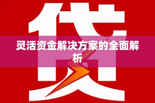 永修灵活资金解决方案的全面解析
