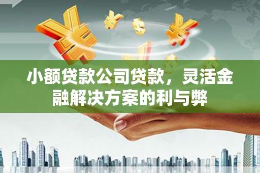 永修小额贷款公司贷款，灵活金融解决方案的利与弊